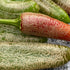 Farmer's Jalapeño